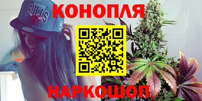 гидра Аргун