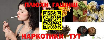 гашик Аргун