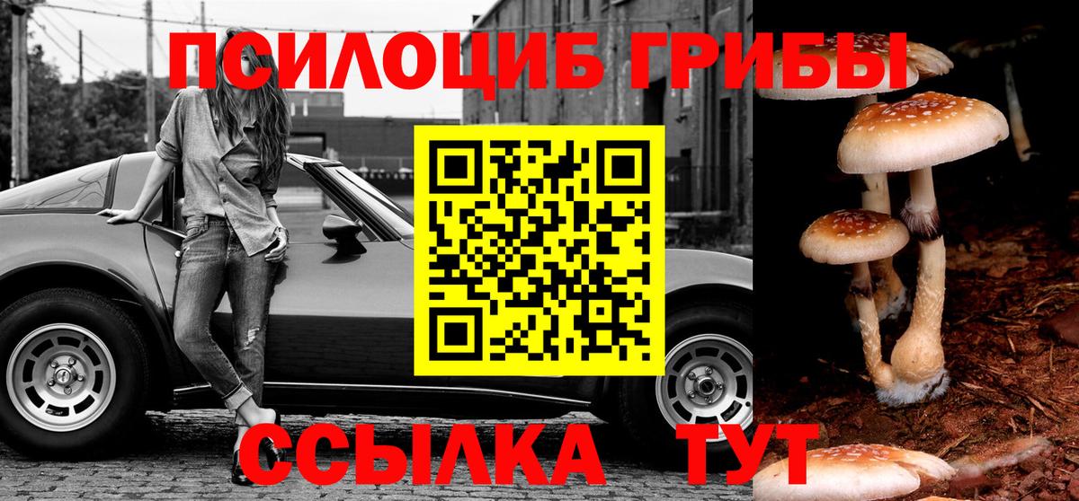 Псилоцибиновые грибы Psilocybine cubensis  Вход с VPN  Балабаново 