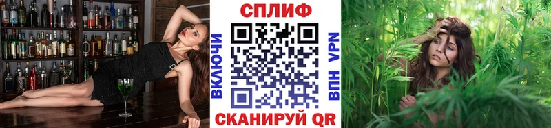 где можно купить Балабаново Каннабис Amnesia