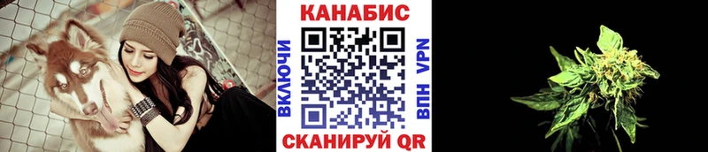 Конопля конопля Балабаново