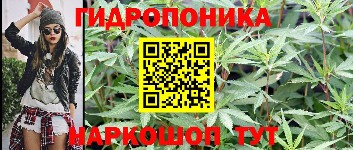 Бошки марихуана OG Kush  Каннабис сатива  Шишки марихуана тримм  Балабаново 